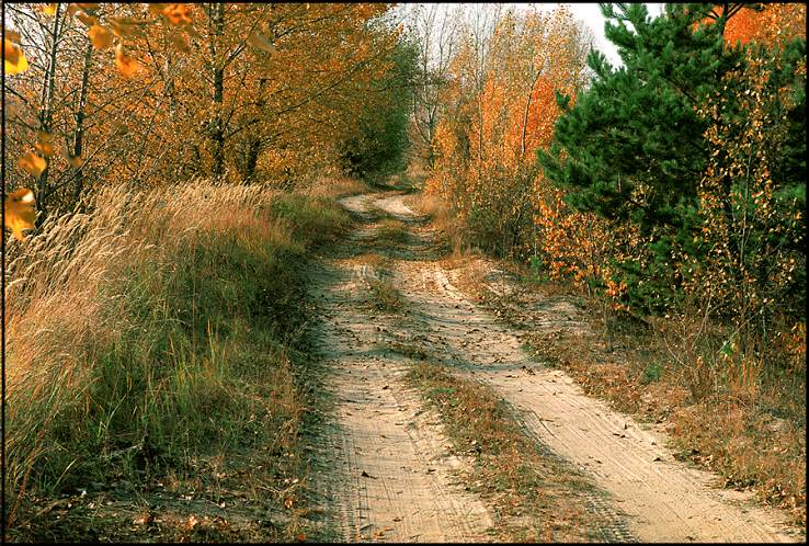 photo "Сountry-track" tags: landscape, autumn