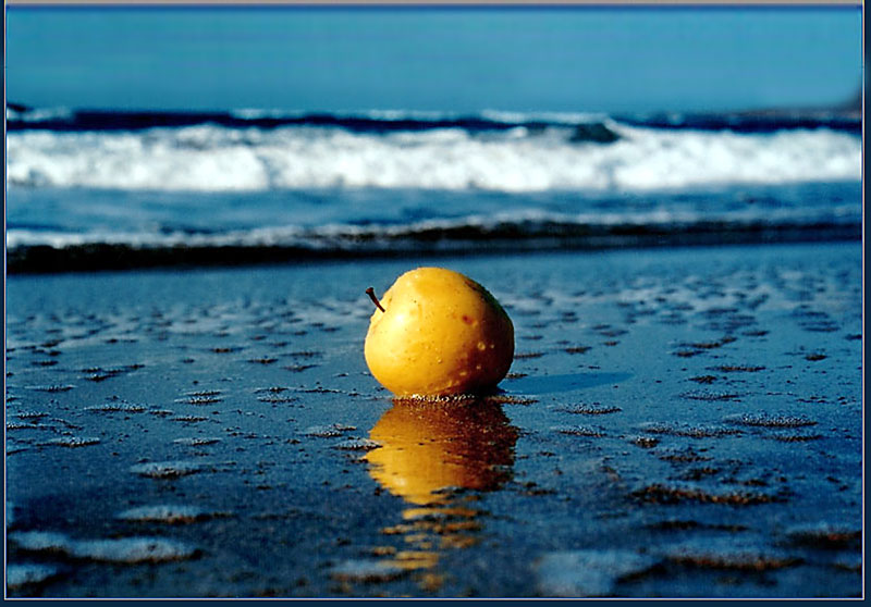 photo "Forgotten Apple" tags: landscape, autumn, water