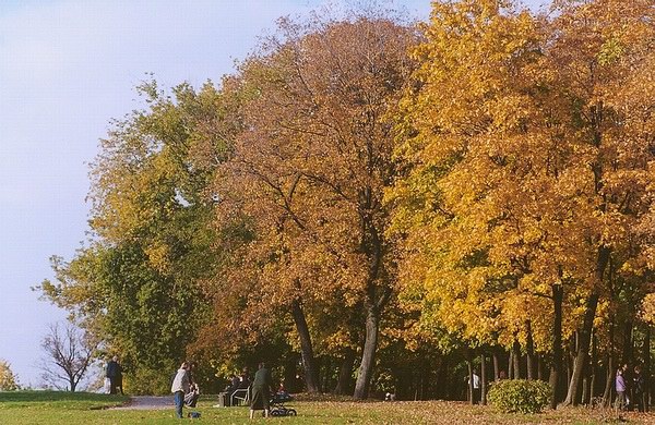 photo "no name" tags: landscape, autumn