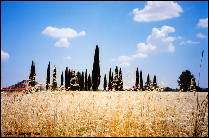 photo "Cyprus Landscape" tags: landscape, misc., summer