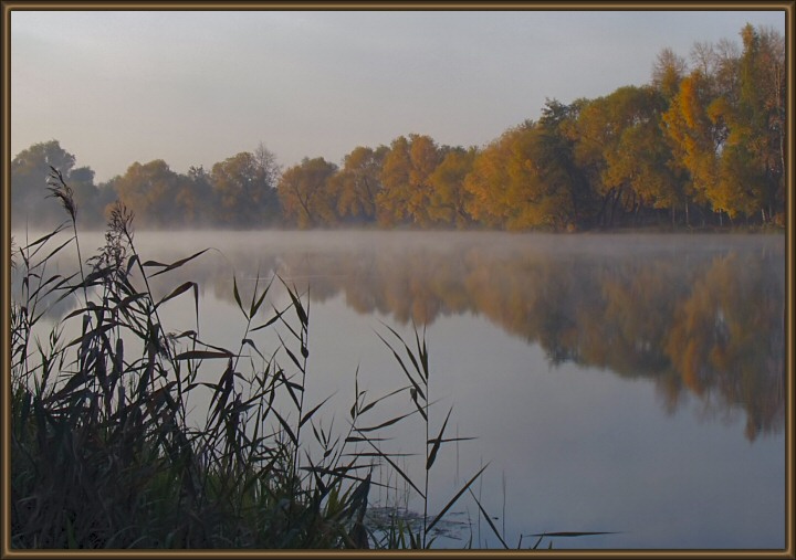 photo "Morning in gold" tags: landscape, autumn, sunset