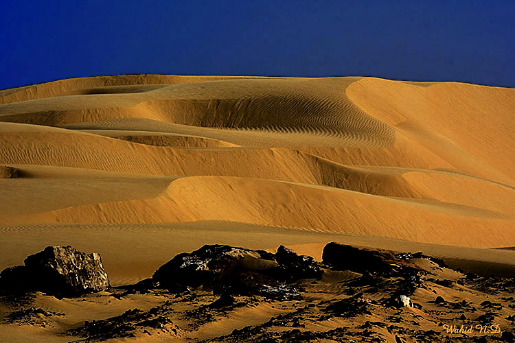 фото "Sand Dunes #15" метки: природа, путешествия, Африка