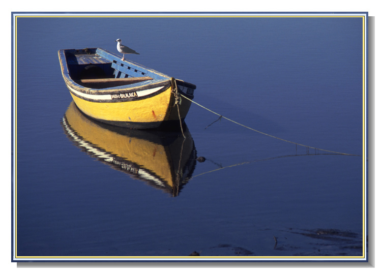 photo "Yellow boat" tags: landscape, nature, water, wild animals