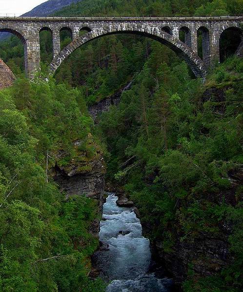 photo "Bridge in the wildernes." tags: misc., 