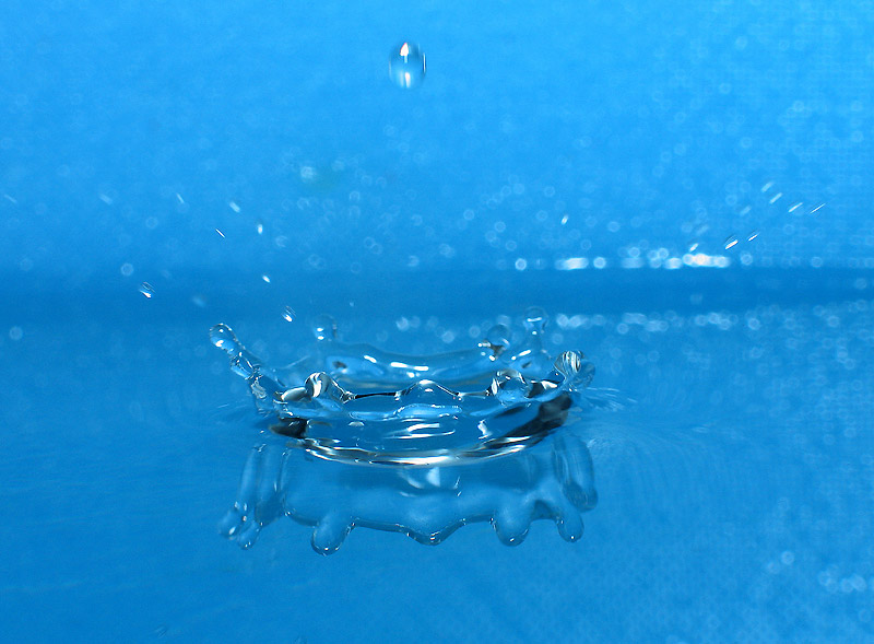 photo "Waterdrop" tags: macro and close-up, 