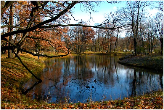 photo "A pond in the park of Pushkin" tags: landscape, autumn, forest