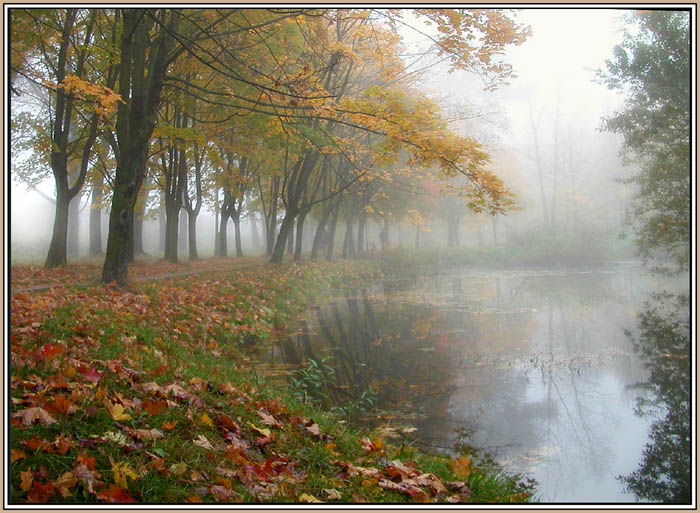 photo "Autumn on a background of a fog" tags: landscape, autumn