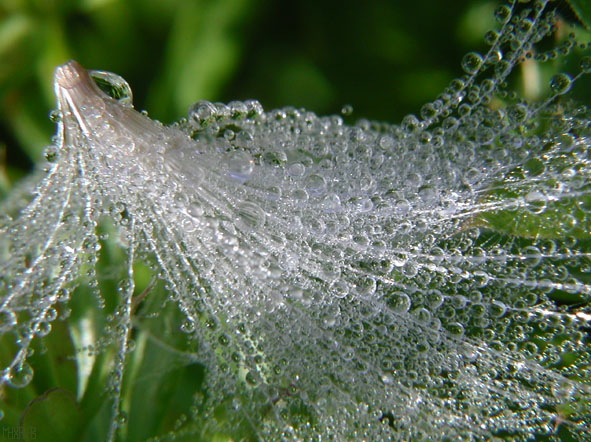 photo "Crystal house" tags: macro and close-up, 