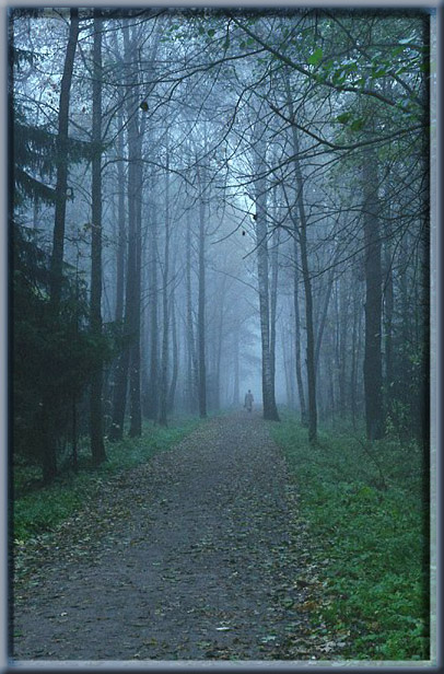 photo "just blue" tags: landscape, nature, autumn