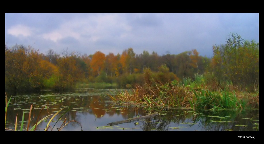 фото "Подмосковное утро" метки: природа, пейзаж, вода