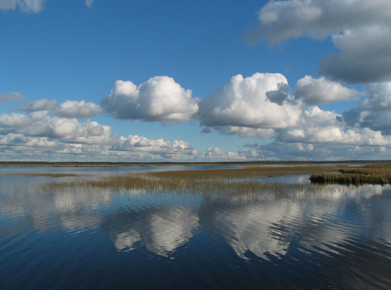 photo "October in Razliv" tags: landscape, autumn, water