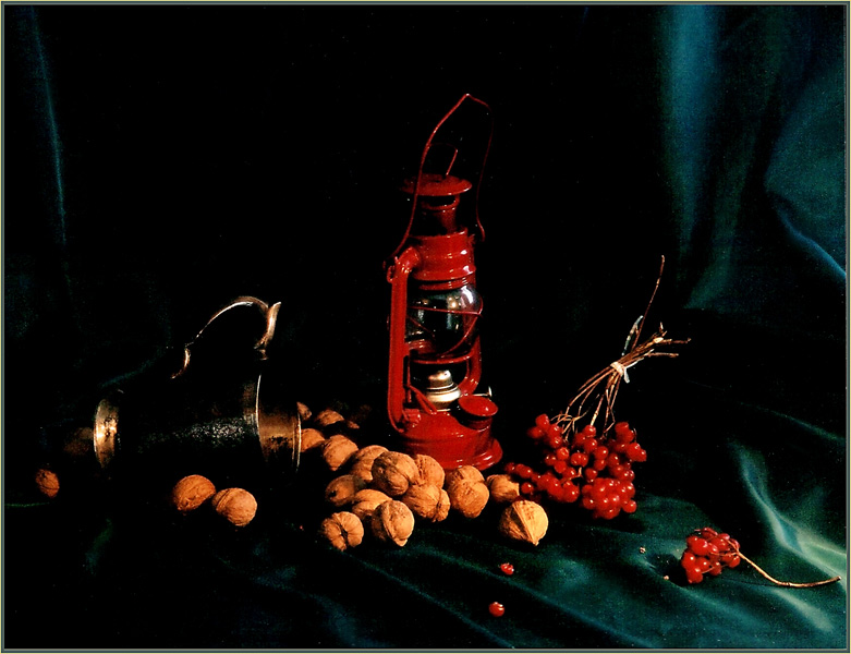 photo "Cup & Nuts" tags: still life, 
