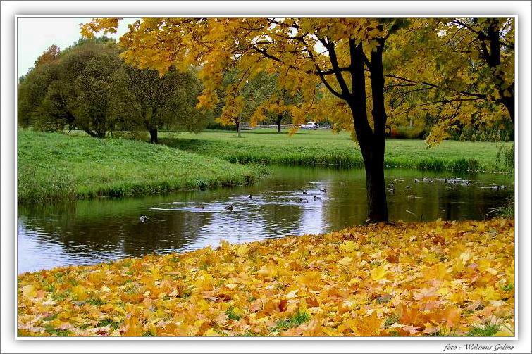 photo "The Europen autumn." tags: landscape, genre, autumn