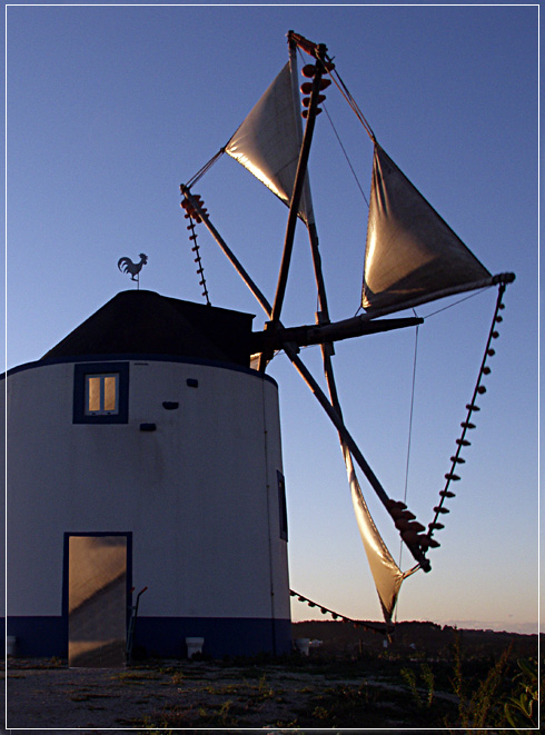 photo "Golden sail" tags: nature, reporting, 