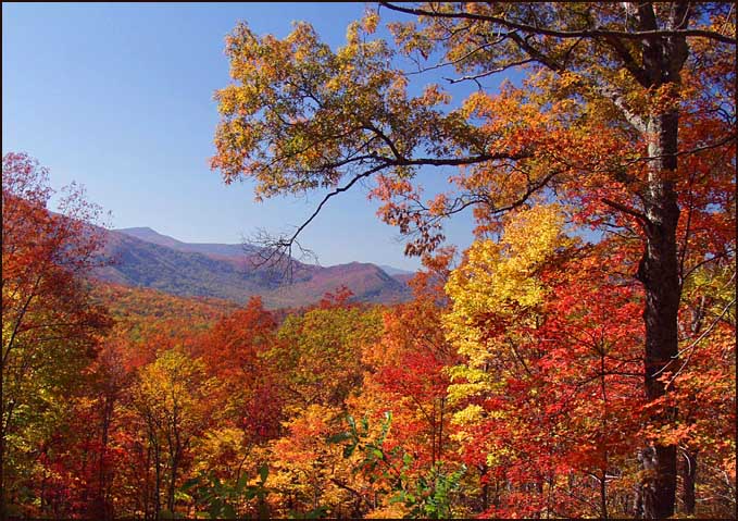 photo "Fall`s Finery" tags: landscape, autumn, mountains