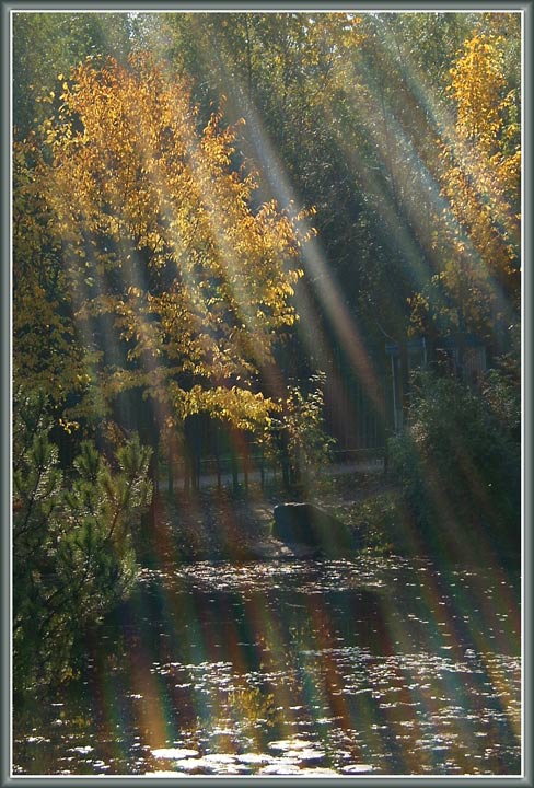 photo "Autumn spectrum" tags: misc., 