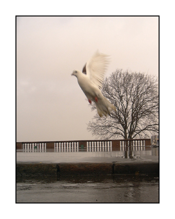 photo "Angel" tags: portrait, landscape, winter