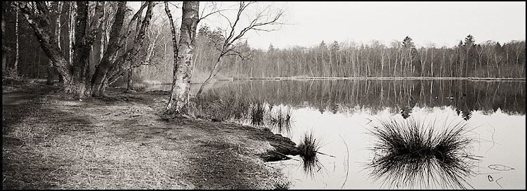 photo "Calm autumn" tags: landscape, forest, water