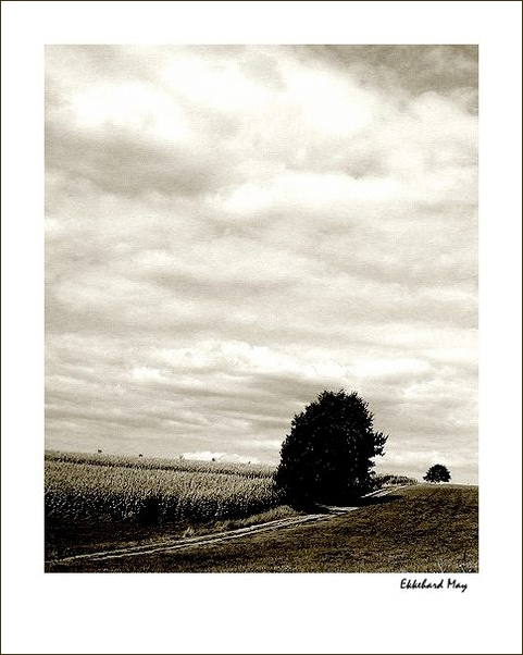 photo "lost dreams" tags: landscape, summer