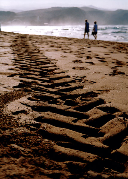 photo "Track" tags: landscape, summer, water