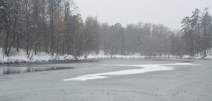 photo "***" tags: landscape, forest, winter