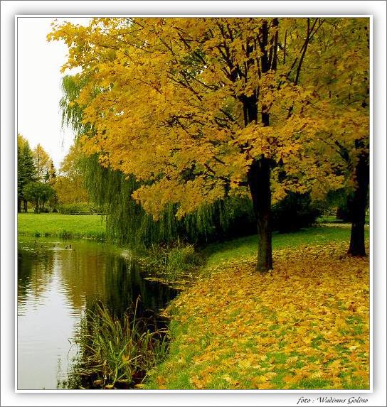 photo "The Europen autumn - 2." tags: landscape, nature, autumn