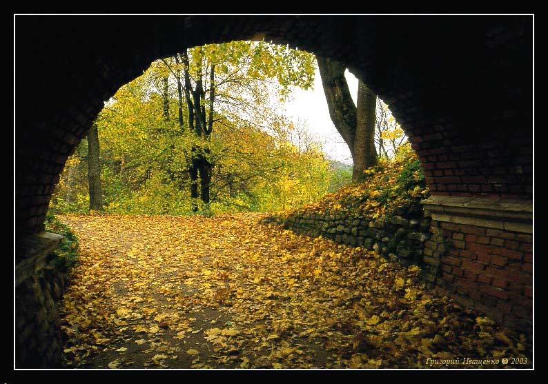 photo "exit in an autumn" tags: landscape, autumn