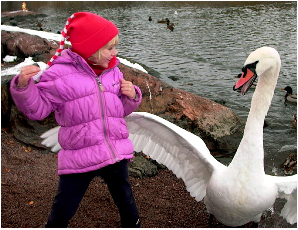 фото "Leda and The Swan :)" метки: жанр, юмор, 