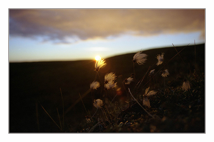 photo "***" tags: nature, landscape, sunset