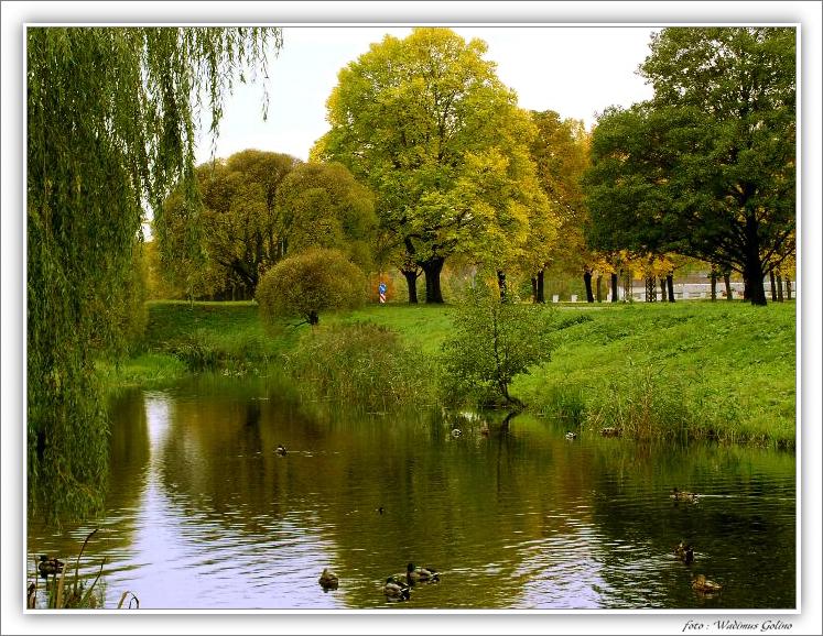 photo "Разведчик Штирлиц иногда любил кормить уток на это" tags: landscape, nature, autumn