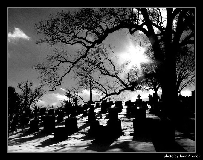 photo "Cemetery" tags: black&white, misc., 