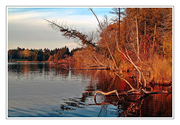 photo "In the red fall mood" tags: landscape, autumn, water