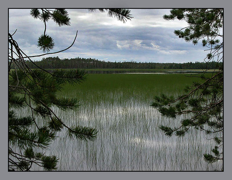 photo "Cloudy day on wood lake" tags: landscape, forest, water