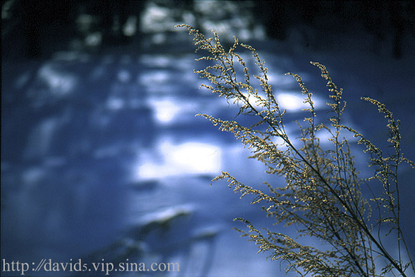 фото "That year in winter" метки: разное, пейзаж, зима