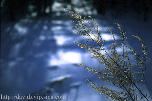 photo "That year in winter" tags: misc., landscape, winter