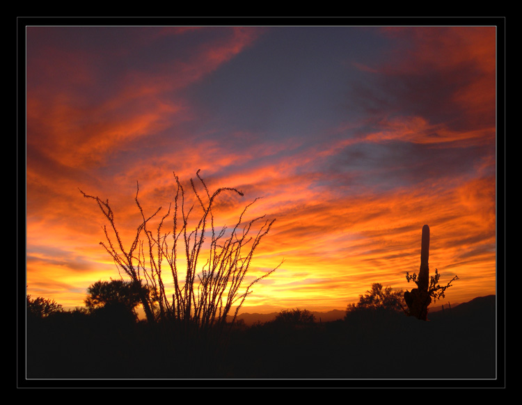 фото "Desert Sunset" метки: пейзаж, путешествия, Северная Америка, закат