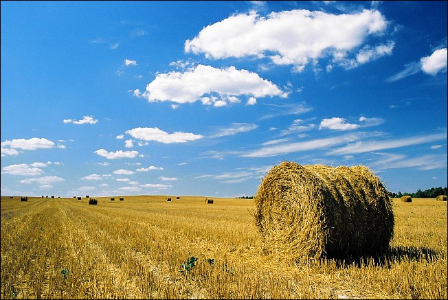 фото "*" метки: пейзаж, 