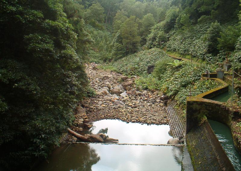 photo "dry river" tags: landscape, forest, water