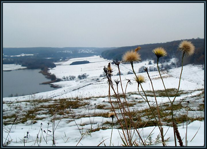 photo "To us to a fluffy frost is not terrible." tags: landscape, autumn, forest