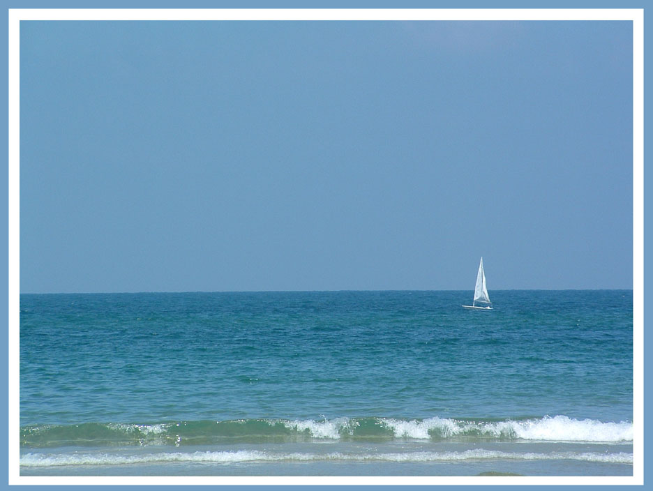 photo "The lone wanderer" tags: landscape, water