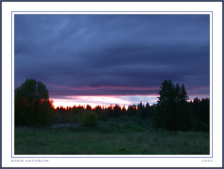 photo "Sunset in a forest" tags: landscape, forest, sunset