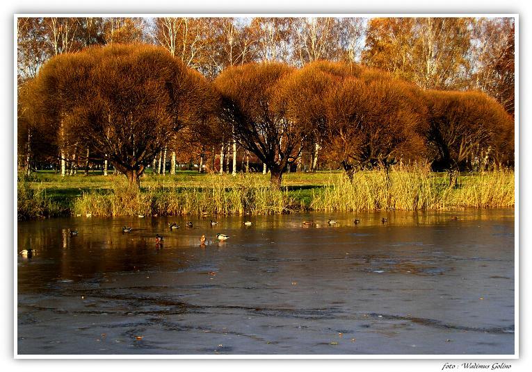 photo "The Europen autumn - 4." tags: landscape, nature, autumn