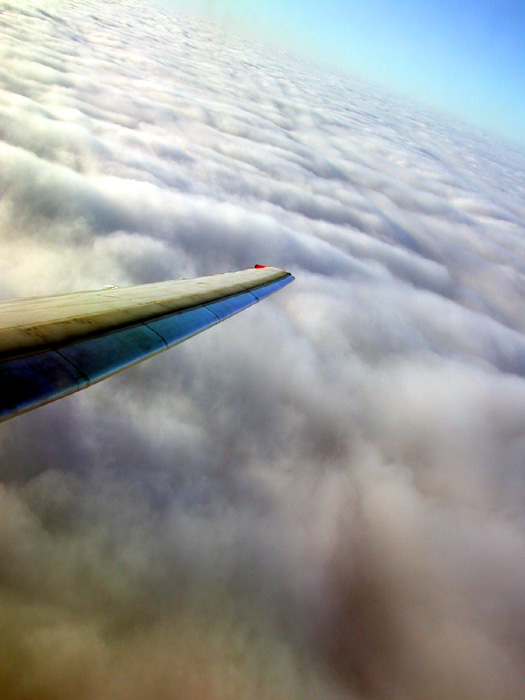 photo "the wing" tags: travel, Europe