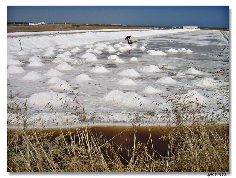 photo "Harvesting salt" tags: reporting, nature, 