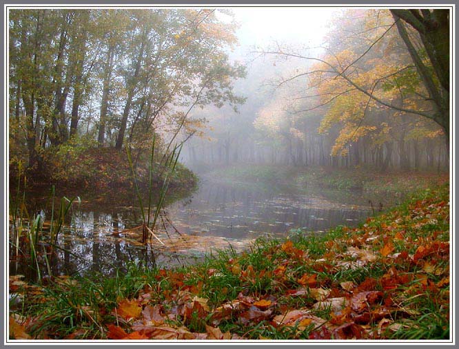 фото "Падают, падают, падают листья..." метки: пейзаж, вода, осень