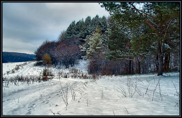 фото "Снежная спокойная." метки: пейзаж, зима, лес