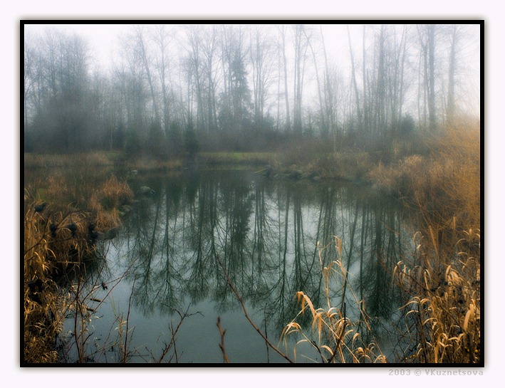 фото "Утро... туманное...-3" метки: пейзаж, лес, осень