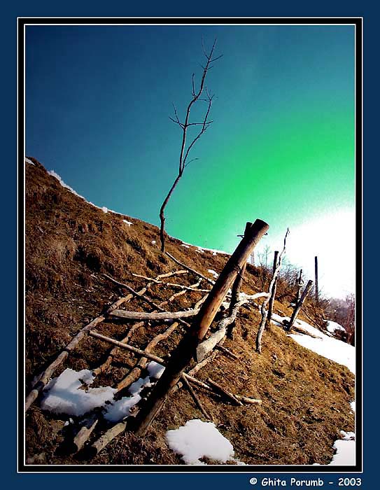 photo "Singuratate" tags: landscape, mountains