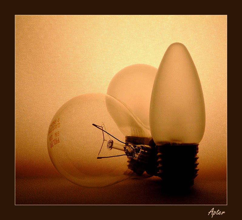 photo "Still-life with bulbs" tags: still life, abstract, 