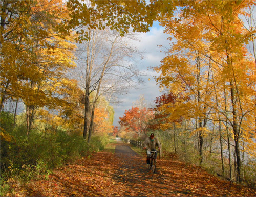 фото "Cycle of Beauty" метки: пейзаж, лес, осень